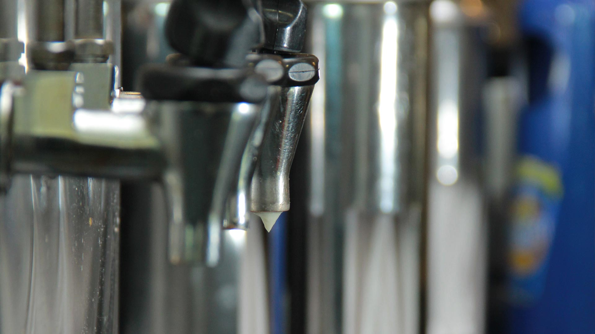 Photography & Project by Innebo.com